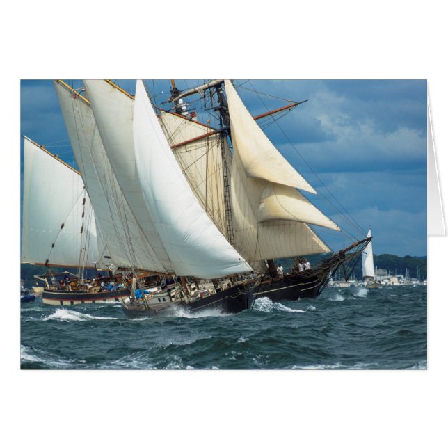 Beste wind (Voorkant Horizontaal)