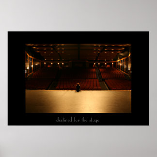 ..bestemd voor het stadium poster