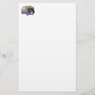 Bestemd voor roem briefpapier