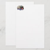 Bestemd voor roem briefpapier (Voorkant / Achterkant)