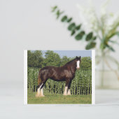 bestemming briefkaart (Staand voorkant)