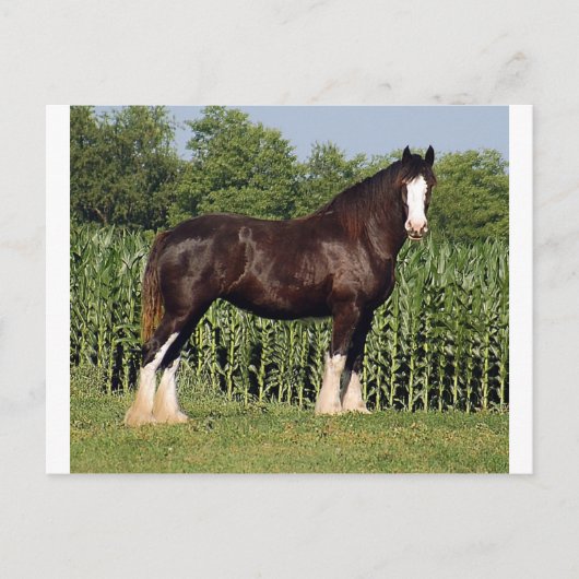 bestemming briefkaart (Voorkant)