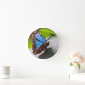 Bestemming Geschenken Ronde Klok (Huis)