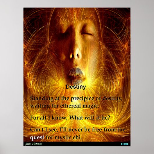 Bestemming Poster (Voorkant)
