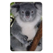 Bestemming Zazzle Schattig Koala Aussi Outback Magneet (Verticaal)