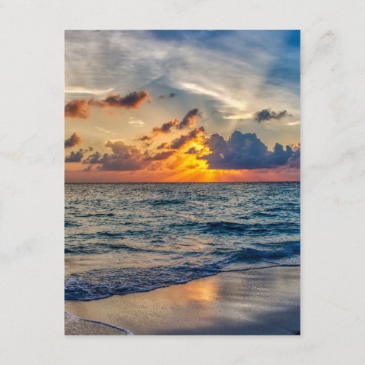 Bestemmingsweddenschap Zonnehemden Informatiekaartje (Achterkant)