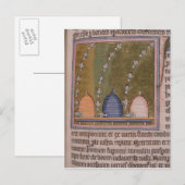Bestiary Drie gebogen lijnen Briefkaart (Voorkant / Achterkant)