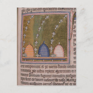 Bestiary Drie gebogen lijnen Briefkaart