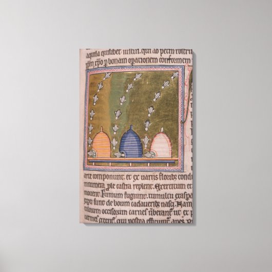 Bestiary Drie gebogen lijnen Canvas Afdruk (Voorkant)