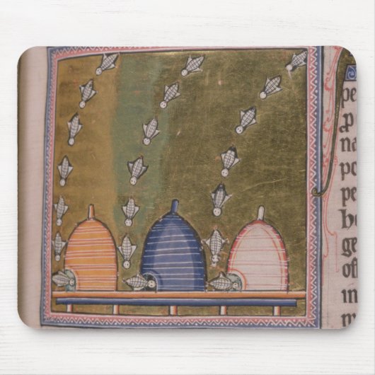 Bestiary Drie gebogen lijnen Muismat (Voorkant)