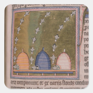 Bestiary Drie gebogen lijnen Vierkante Sticker