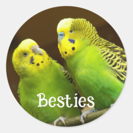 Besties Green and Yellow Parakeets Ronde Sticker