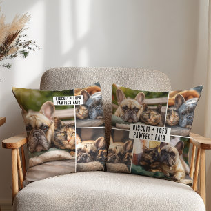 Besties Huisdier Vriend Hond Kat Mama BFF 7 foto c Kussen