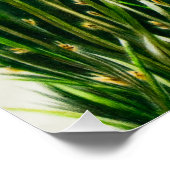 Besties leeuwenwelpen glanzend poster (Hoek)