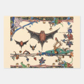 BESTIJDIGE WEEFSELGROOTTE, VLIEGTUIGEN DIE BOSSEN INPAKPAPIER VEL (Voorkant 2)