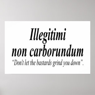 BESTRIJDING Illegii non carborundum is een mockLat Poster