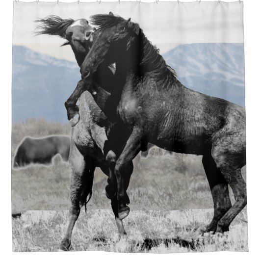 BESTRIJDING VAN DE FOTOGRAPH SHOWER CURTATIE VAN W DOUCHEGORDIJN (Voorkant)