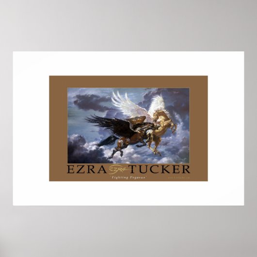 Bestrijding van de Pegasus Poster (Voorkant)