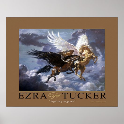 Bestrijding van de Pegasus Poster (Voorkant)