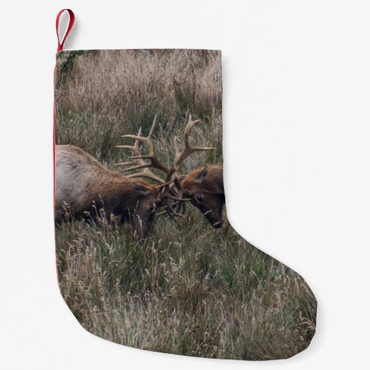 BESTRIJDING VAN DEERS KLEINE KERSTSOK (Voorkant)
