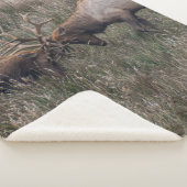 BESTRIJDING VAN DEERS SHERPA DEKEN (3/4)