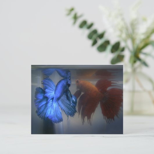 Bestrijding van vis briefkaart (Staand voorkant)