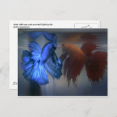 Bestrijding van vis briefkaart (Voorkant / Achterkant)