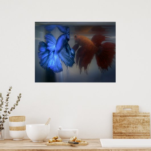 Bestrijding van vis poster (Keuken)