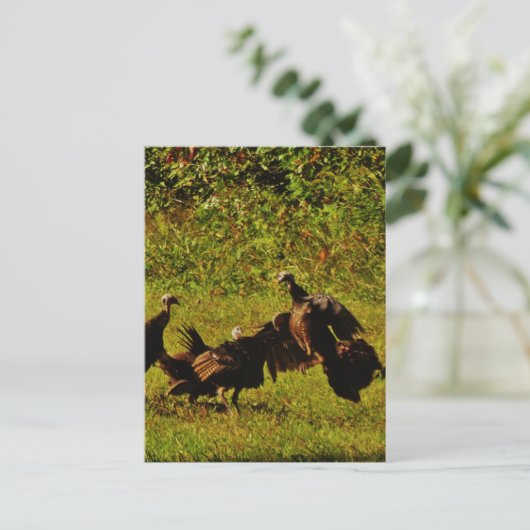 Bestrijding van wilde kalkoenen in het moerasgeber briefkaart (Staand voorkant)