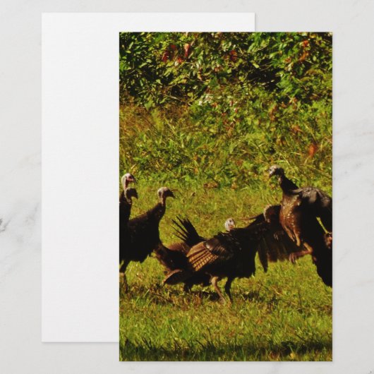Bestrijding van wilde kalkoenen in het moerasgeber briefpapier (Voorkant / Achterkant)