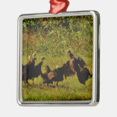 Bestrijding van wilde kalkoenen in het moerasgeber metalen ornament (Links)