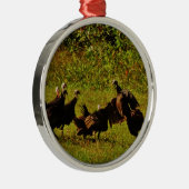 Bestrijding van wilde kalkoenen in het moerasgeber metalen ornament (Rechts)