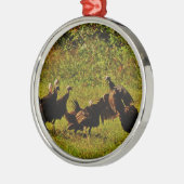 Bestrijding van wilde kalkoenen in het moerasgeber metalen ornament (Links)