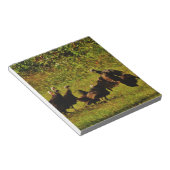 Bestrijding van wilde kalkoenen in het moerasgeber notitieblok (Schuin)