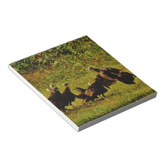 Bestrijding van wilde kalkoenen in het moerasgeber notitieblok (Schuin)