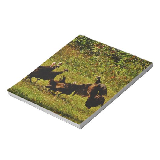 Bestrijding van wilde kalkoenen in het moerasgeber notitieblok (Linkerzijde)