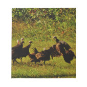 Bestrijding van wilde kalkoenen in het moerasgeber notitieblok (Voorkant)