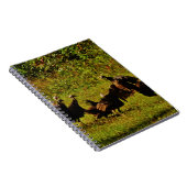 Bestrijding van wilde kalkoenen in het moerasgeber notitieboek (Rechterzijde)