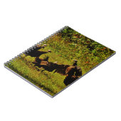 Bestrijding van wilde kalkoenen in het moerasgeber notitieboek (Linkerzijde)