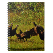 Bestrijding van wilde kalkoenen in het moerasgeber notitieboek (Voorkant)