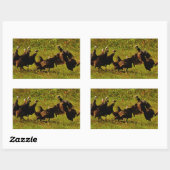 Bestrijding van wilde kalkoenen in het moerasgeber rechthoekige sticker (Vel)