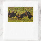 Bestrijding van wilde kalkoenen in het moerasgeber rechthoekige sticker (Tas)