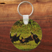 Bestrijding van wilde kalkoenen in het moerasgeber sleutelhanger (Voorkant)