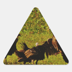 Bestrijding van wilde kalkoenen in het moerasgeber sticker