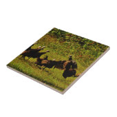 Bestrijding van wilde kalkoenen in het moerasgeber tegeltje (Zijkant)