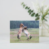 Bestrijding van wilde paarden briefkaart (Staand voorkant)
