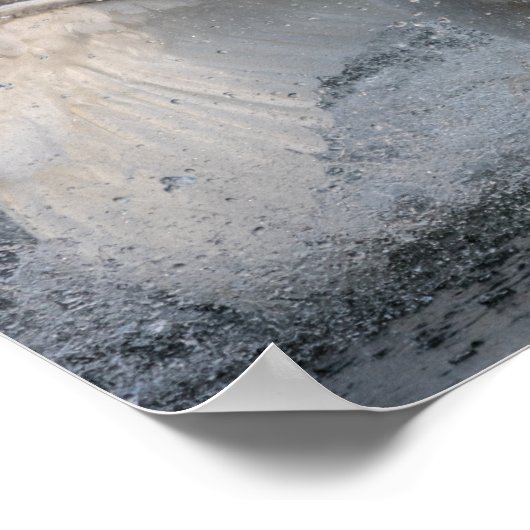 Bestrijdingszwanen Poster (Hoek)