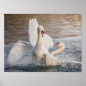 Bestrijdingszwanen Poster (Voorkant)