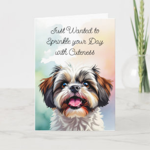 Bestrooi je dag met schattigheid   Shih Tzu Kaart