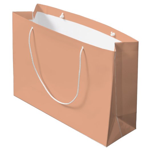 Bestsellende Blushing Peach Groot Cadeauzakje (Achterkant Gekanteld)